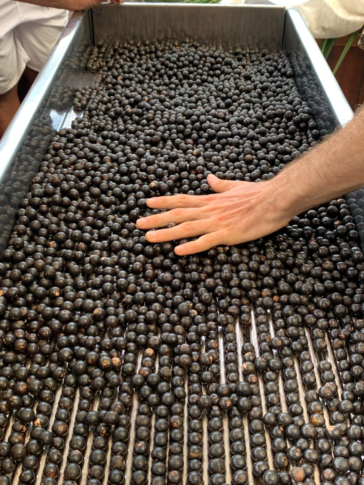 WhatsApp Image 2025-10-21 at 12.30.30.jpeg